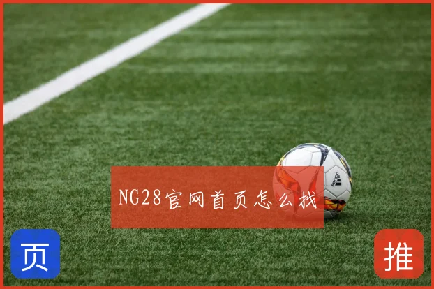 NG28官网首页怎么找