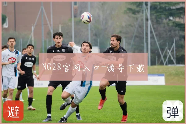 NG28官网入口-诱导下载