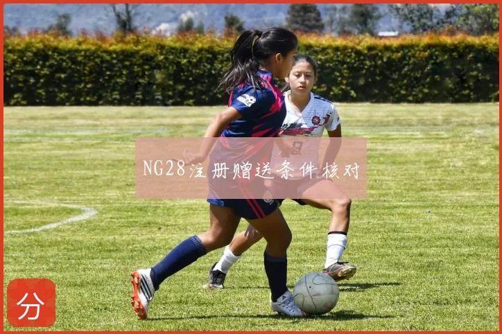 NG28注册赠送条件核对