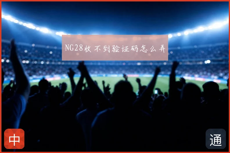 NG28收不到验证码怎么弄