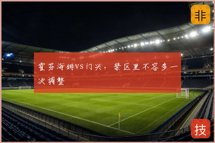 霍芬海姆vs门兴,禁区里不容多一次调整