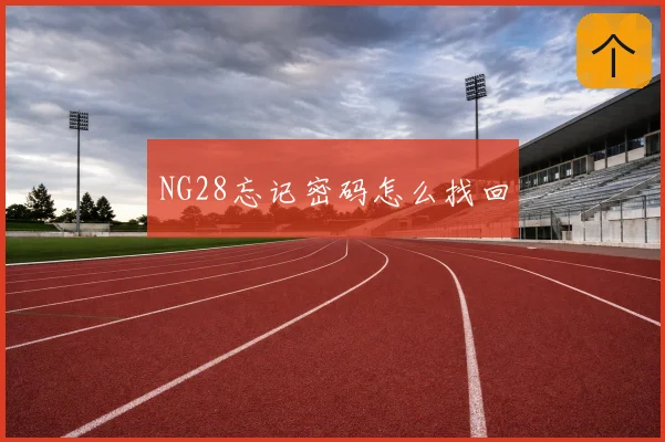 NG28忘记密码怎么找回